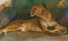 Lionne au repos - Géza Vastagh — widok dzieła
