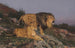 Le Domaine des Lions - Géza Vastagh — widok dzieła