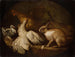 Kurczak, gołąb i królik - Giovanni Agostino Cassana — widok dzieła