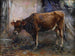 Wół - Giuseppe Pennasilico — widok dzieła