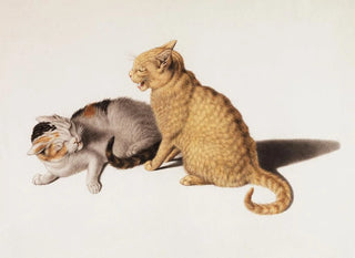 Gottfried Mind - Two young cats be in conflict.webp