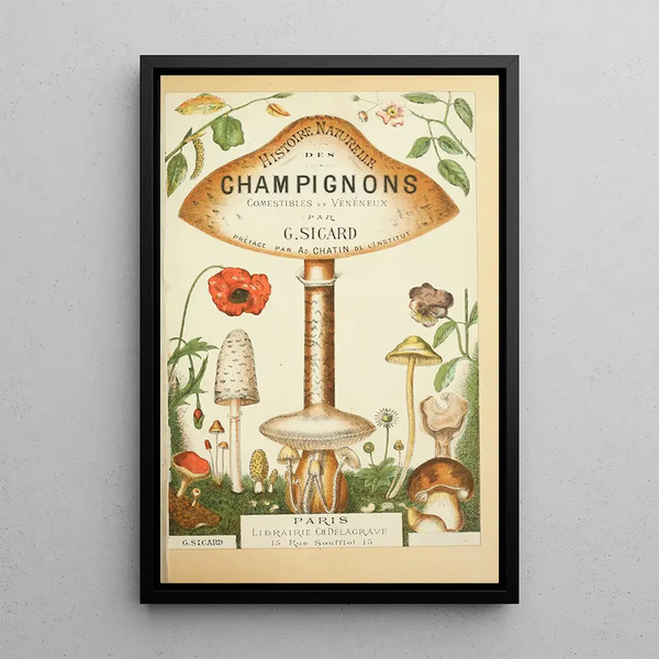 Histoire naturelle des champignons Pl01 - Guillaume Sicard — oprawiony obraz na ścianie