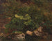 Studium roślin - Gustav Friedrich Papperitz — widok dzieła