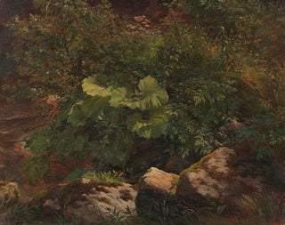 Studium roślin - Gustav Friedrich Papperitz — widok dzieła