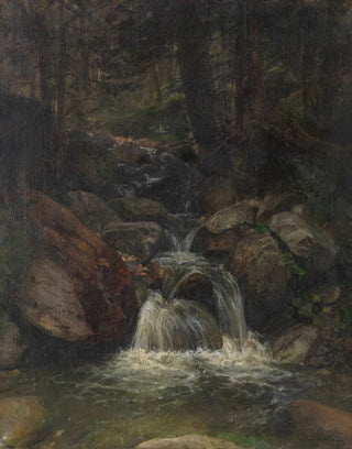 Gustav Friedrich Papperitz - Waldinneres mit Wasserfall.webp