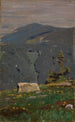 Widok z Hornisgrinde - Gustav Kampmann — widok dzieła