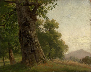 Studium drzewa - Gustav Osterroht — widok dzieła