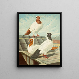 Gustav Prtz - C Vestalis.webp