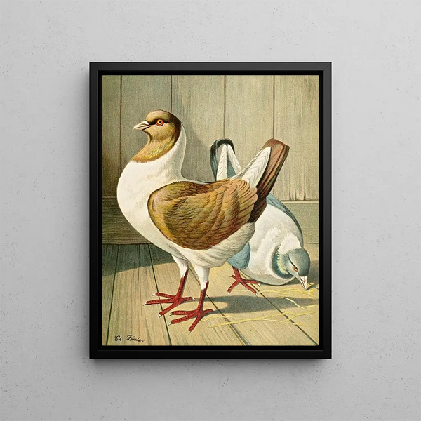 Gustav Prtz - C brachyura Brm.webp