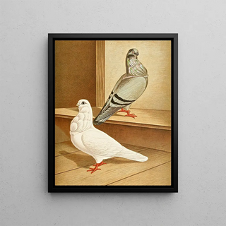 Gustav Prtz - C bubo media.webp