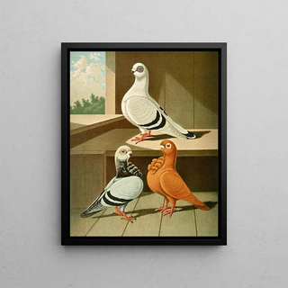 Gustav Prtz - C damascena C bubo major.webp
