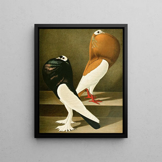 Gustav Prtz - C gutturosa eques.webp