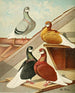 Tumblers barbus angielski - Gustav Prütz — widok dzieła