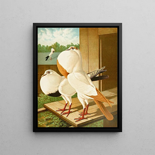 Gustav Prtz - Gestorchte Brnner Krpfer.webp