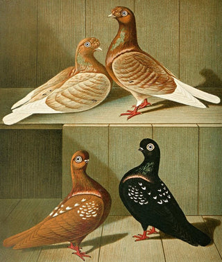 Gustav Prtz - Russische Tmmler.webp