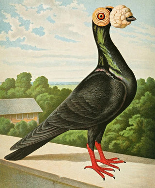 Gustav Prtz - The carrier.webp