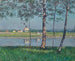 Rzeka Sekwana w Petit-Gennevilliers - Gustave Caillebotte — widok dzieła