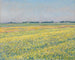 Le plateau de Gennevilliers aux champs jaunes - Gustave Caillebotte — widok dzieła