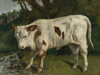 Biały cielak - Gustave Courbet — widok dzieła