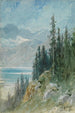 Widok na jezioro Genewskie w pobliżu Montreux - Gustave Doré — widok dzieła