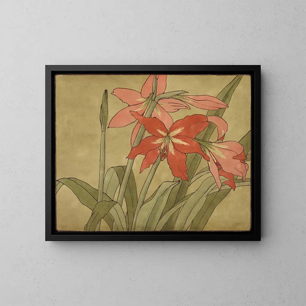 Amaryllis - Hannah Borger Overbeck — oprawiony obraz na ścianie