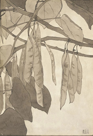 Hannah Borger Overbeck - Red Bud in Gray.webp