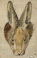 Lièvre de face - Hans Asper — widok dzieła