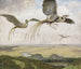 Cudowne ptaki - Hans Thoma — widok dzieła