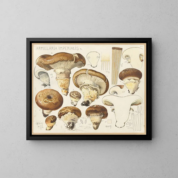 Armillaria impérialis - Hans Baldung — oprawiony obraz na ścianie