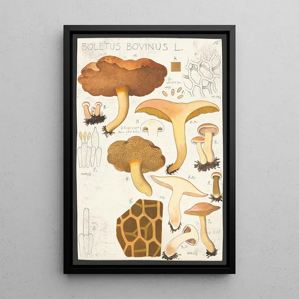 Boletus bovinus L - Hans Baldung — oprawiony obraz na ścianie