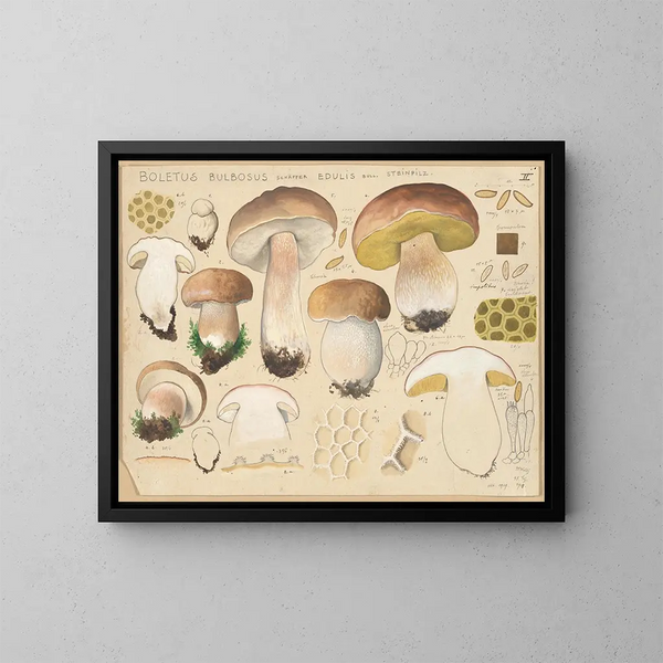 Boletus bulbosus, jadalny grzyb - Hans Baldung — oprawiony obraz na ścianie