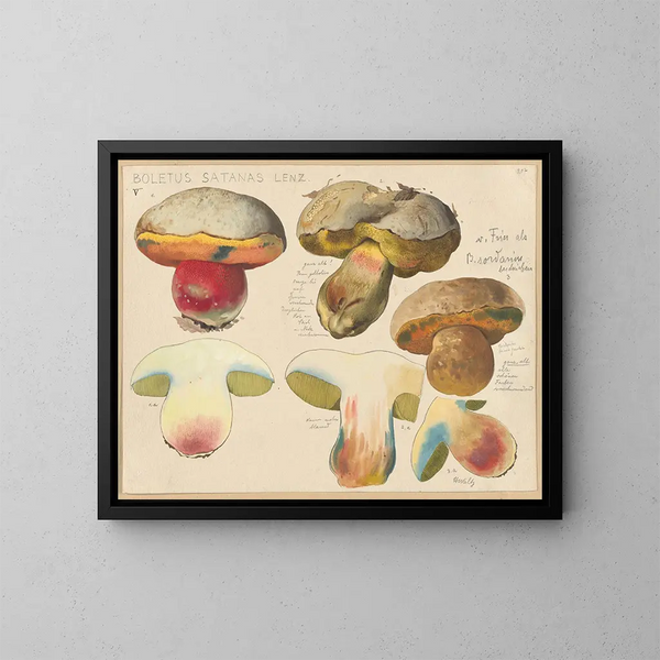 Boletus satanas - Hans Baldung — oprawiony obraz na ścianie