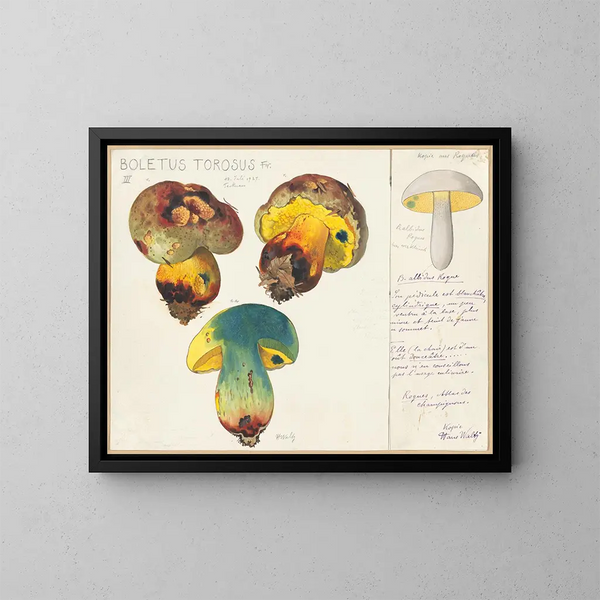 Boletus torosus - Hans Baldung — oprawiony obraz na ścianie