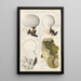 Calvatia caelata - Hans Baldung — oprawiony obraz na ścianie