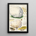 Calvatia maxima Schff Morgan Globaria bovista L - Hans Baldung — oprawiony obraz na ścianie