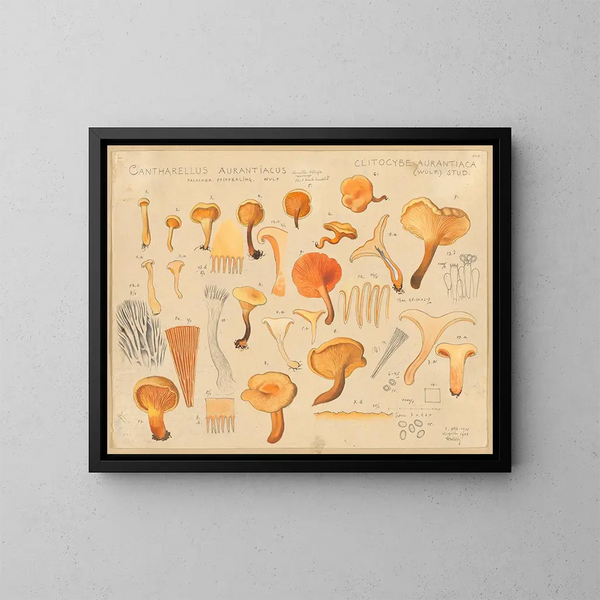 Chanterelle orangée - Hans Baldung — oprawiony obraz na ścianie