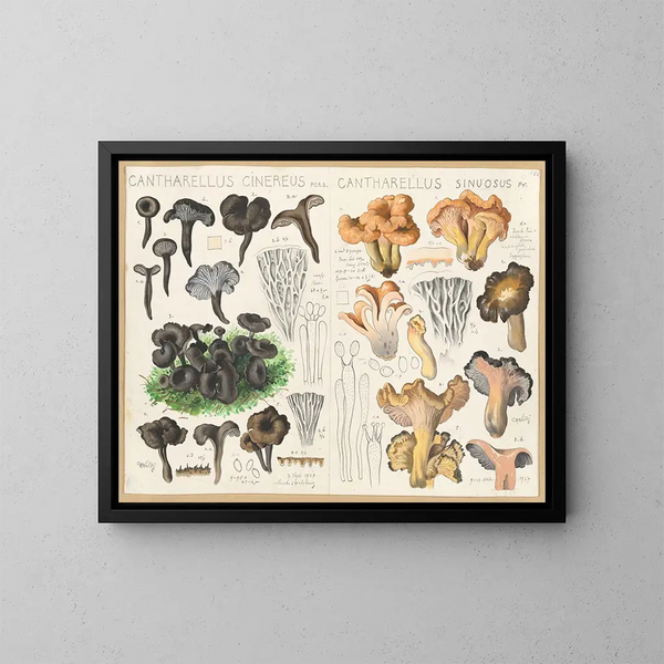Chanterelle cendrée Chanterelle sinueuse - Hans Baldung — oprawiony obraz na ścianie