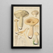 Clitocybe geotropa Bulliard - Hans Baldung — oprawiony obraz na ścianie