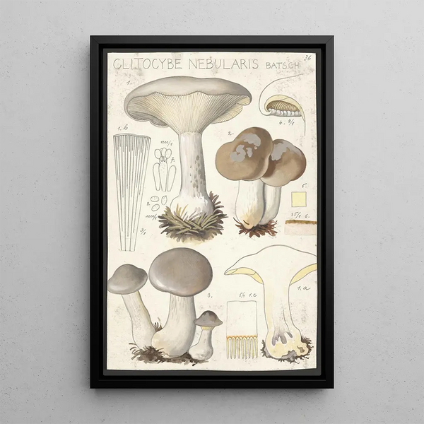 Clitocybe nébuleux Batsch 2 - Hans Baldung — oprawiony obraz na ścianie
