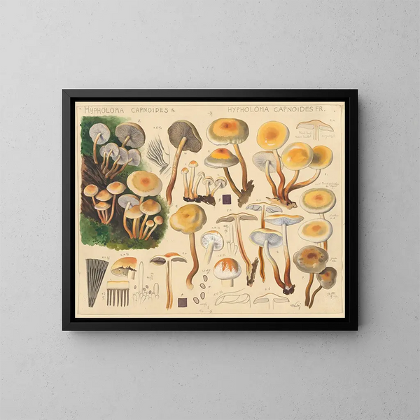 Hypholoma capnoides - Hans Baldung — oprawiony obraz na ścianie