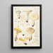Lentinus lépide Fr Lentinus squamosus Schff lépide - Hans Baldung — oprawiony obraz na ścianie