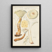 Lentinus suffrutescens - Hans Baldung — oprawiony obraz na ścianie