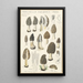 Morchella vulgaris - Hans Baldung — oprawiony obraz na ścianie