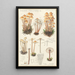 Mycena prolifera - Hans Baldung — oprawiony obraz na ścianie