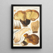 Paxillus atrotomentosus Batsch 2 - Hans Baldung — oprawiony obraz na ścianie