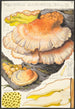 Polyporus sulfureus Bull Fr - Hans Baldung — widok dzieła