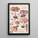 Rhodopaxillus nudus Bull Maire Tricholoma nudum Fr - Hans Baldung — oprawiony obraz na ścianie