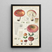 Russula seperina - Hans Baldung — oprawiony obraz na ścianie