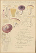 Russula amethystina - Hans Baldung — widok dzieła