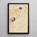 Russula amethystina - Hans Baldung — oprawiony obraz na ścianie